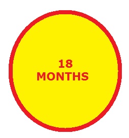 18 months traffic school